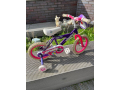 kids-bike-ages-46-small-0